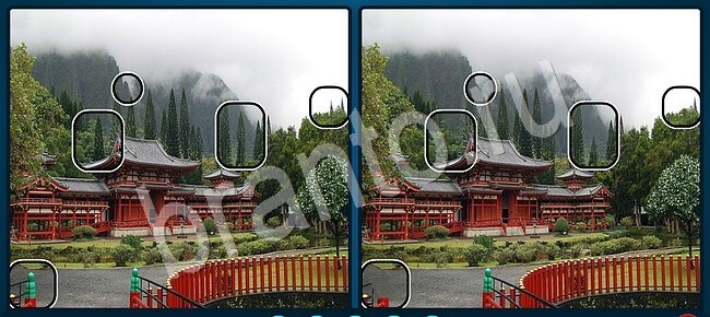 Игра Найди отличия ответы Уровень 1914