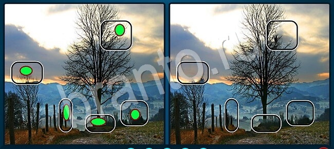 ответы Найдите отличия Уровень 1770