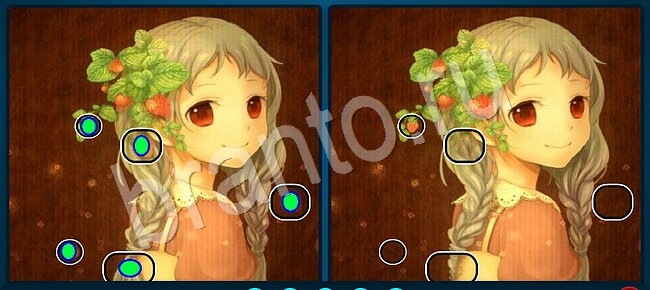 ответы на игру Найдите отличия в контакте Уровень 1870