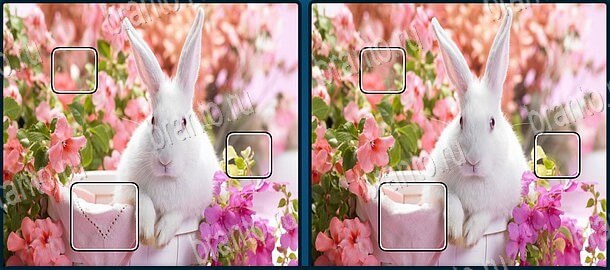 Найди отличия ответы в одноклассниках, вконтакте Уровень 624