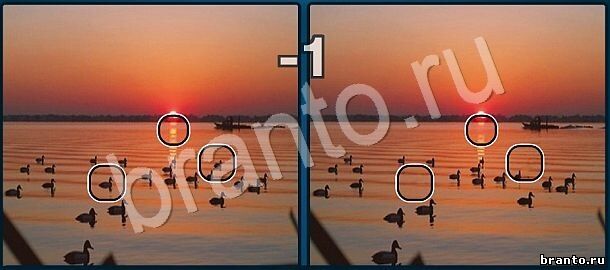 Найди отличия ответы в одноклассниках, вконтакте Уровень 613 лебеди и закат