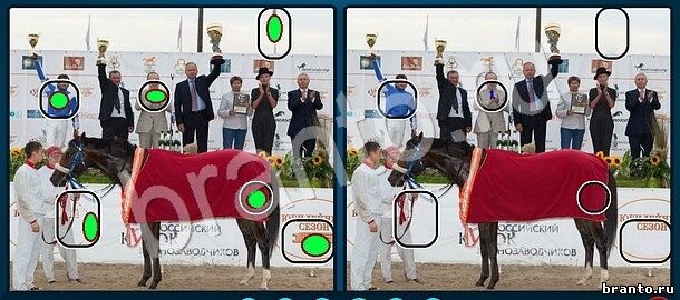 ответы к игре Найдите отличия Уровень 1072 лошадь с красным покрывалом