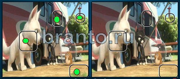 ответы Найдите отличия Уровень 1101 белый щенок кот хомяк