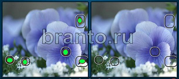 Помощь на игру Найдите отличия Уровень 1120 синие цветы