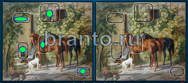 Игра Найди отличия подсказки Уровень 1134 лошади и собаки