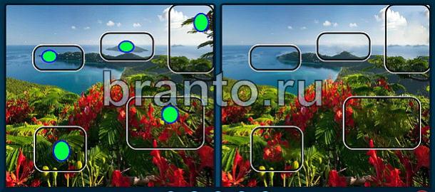 ответы Найдите отличия одноклассники Уровень 1144 красные цветы