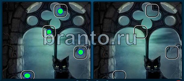 Найдите отличия ответы в контакте Уровень 1164 чёрный кот