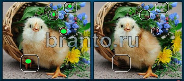 решебник на игру Найдите отличия Уровень 1708