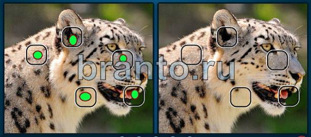 прохождение на игру Найдите отличия Уровень 1718