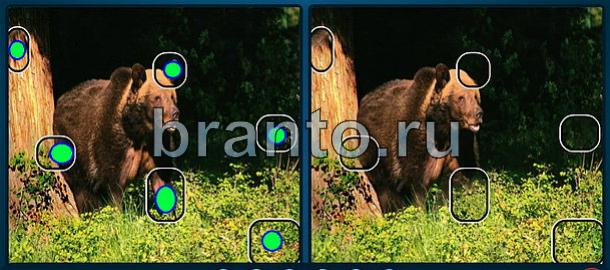 ответы Найдите отличия Уровень 1722