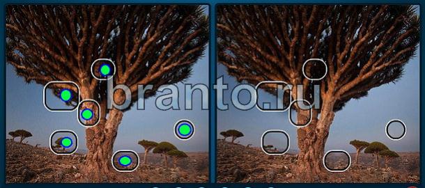 ответы Найдите отличия вк Уровень 1725