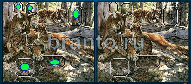 ответы Найдите отличия Уровень 1732