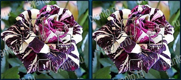 ответы на игру Найдите отличия в скриншотах Уровень 1343