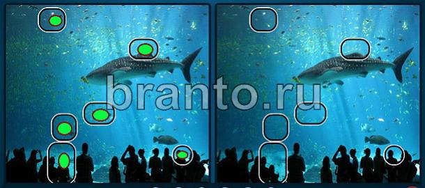 Найдите отличия на двух картинках ответы Уровень 1755