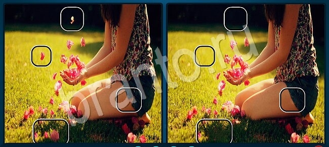 ответы Найди отличия Уровень 1240