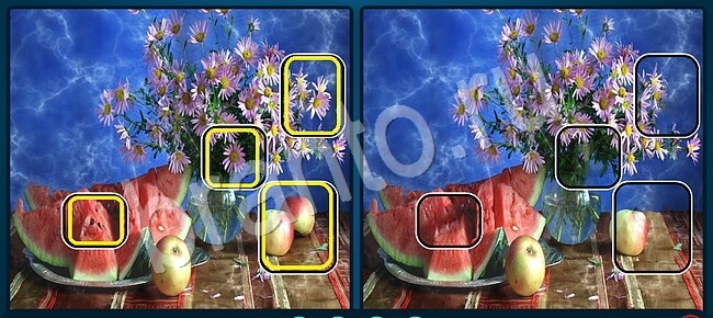 ответы на игру Найдите отличия Уровень 1244