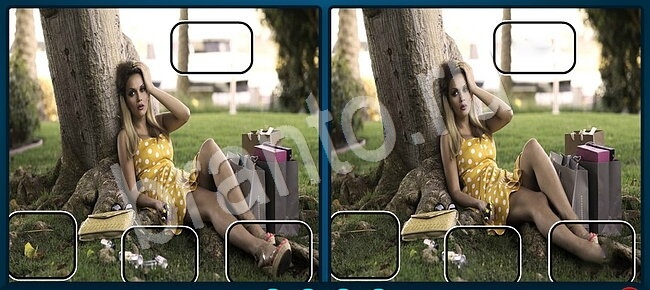 Игра Найдите отличия прохождение Уровень 1271