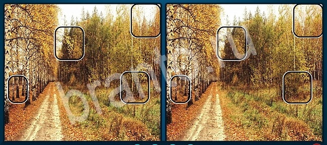 Игра Найдите отличия прохождение Уровень 1281