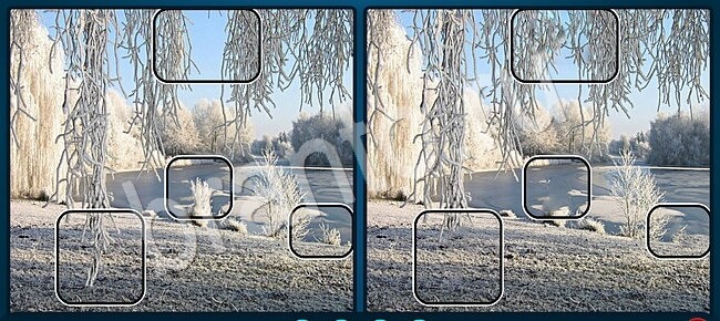 ответы Найдите отличия Уровень 1291