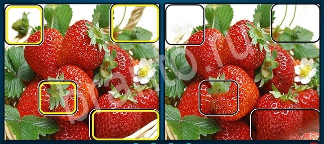 ответы на игру Найдите отличия в скриншотах Уровень 1293