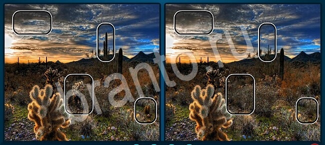 ответы на игру Найдите отличия Уровень 1294