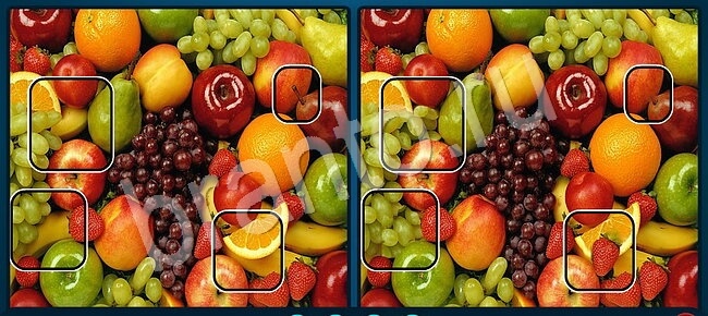 ответы на игру Найдите отличия Уровень 1295