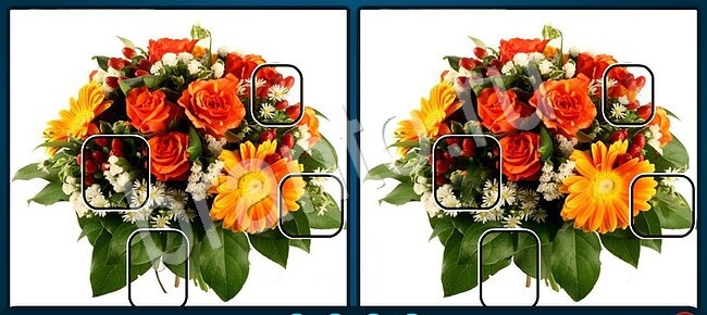 Найдите отличия на двух картинках ответы Уровень 1309