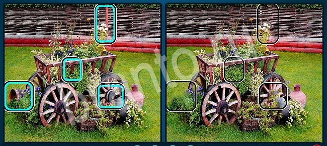 решебник на игру Найдите отличия Уровень 1312