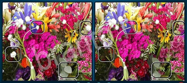 ответы вконтакте Найдите отличия Уровень 1330