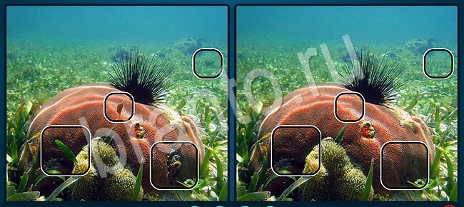 ответы Найдите отличия Уровень 1338