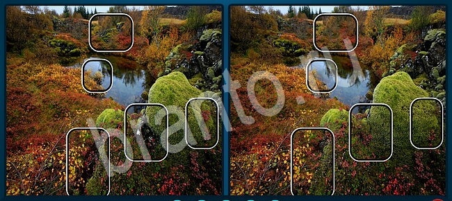 ответы к игре Найдите отличия Уровень 2052