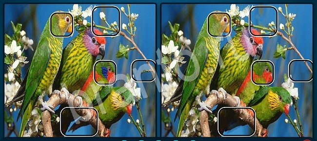 ответы Найди отличия в контакте Уровень 2074