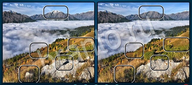 ответы на игру Найдите отличия Уровень 2091