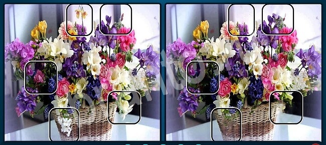 Игра Найди отличия подсказки Уровень 2118