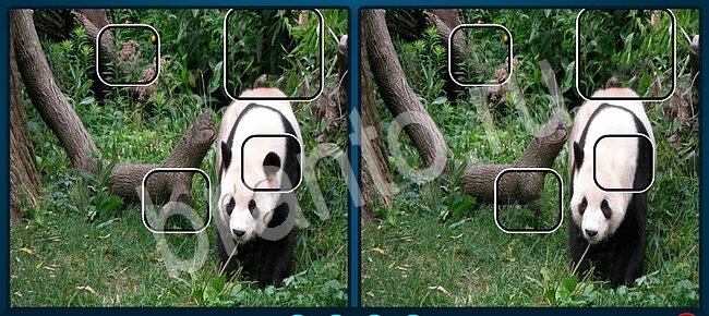 ответы Найдите отличия Уровень 2125