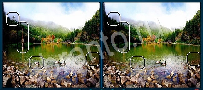 ответы Найди отличия в контакте Уровень 2127