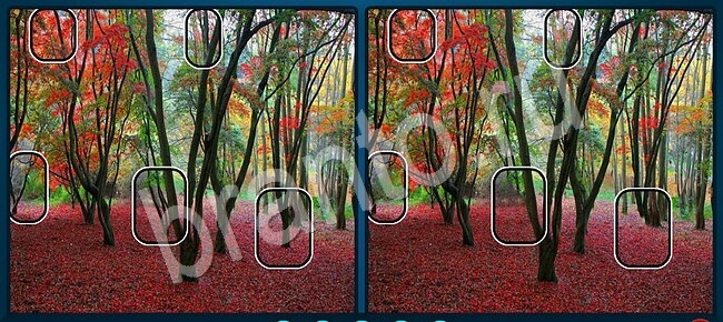 ответы Найдите отличия Уровень 2136