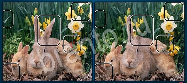 ответы на игру в контакте Найдите отличия Уровень 2156