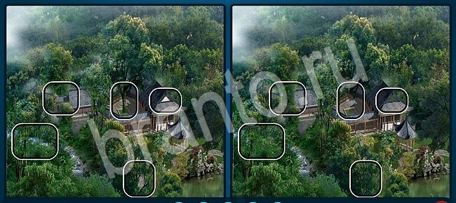 Найдите отличия ВК подсказки Уровень 2159