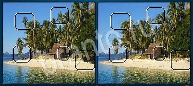 ответы на игру Найдите отличия в контакте Уровень 2173