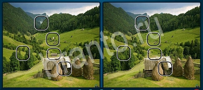 Прохождение игры Найдите отличия Уровень 2184