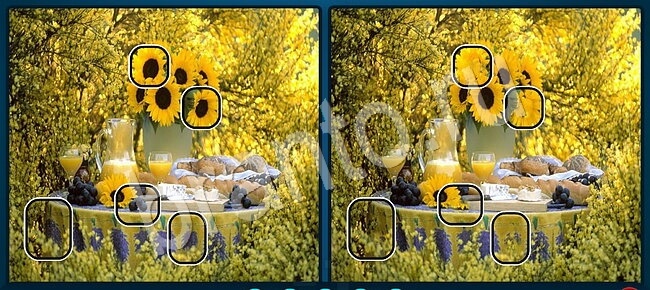 ответы на игру Найдите отличия Уровень 2193