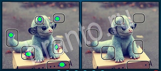 Найдите отличия ВК подсказки Уровень 2465