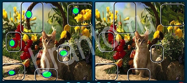 Прохождение игры Найдите отличия Уровень 2490