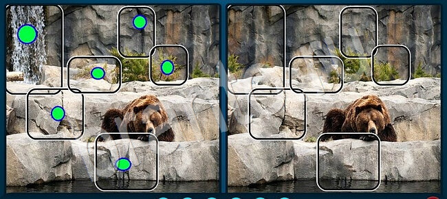 ответы Найдите отличия Уровень 2493