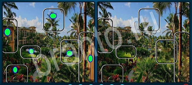 ответы Найди отличия Уровень 2495