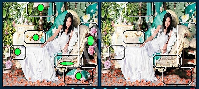 решебник на игру Найдите отличия Уровень 2517