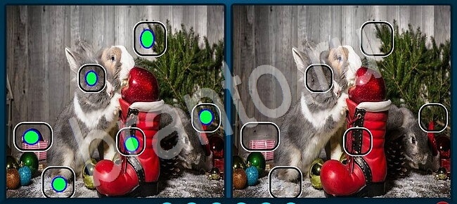 ответы Найдите отличия Уровень 2542