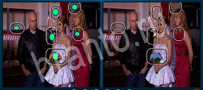 ответы на игру Найдите отличия Уровень 2556