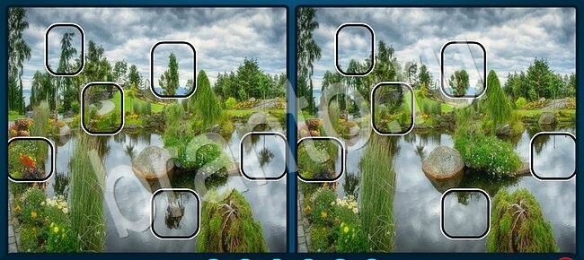 ответы Найдите отличия Уровень 2592